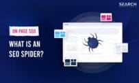 What Is An SEO Spider And What Does It Do?