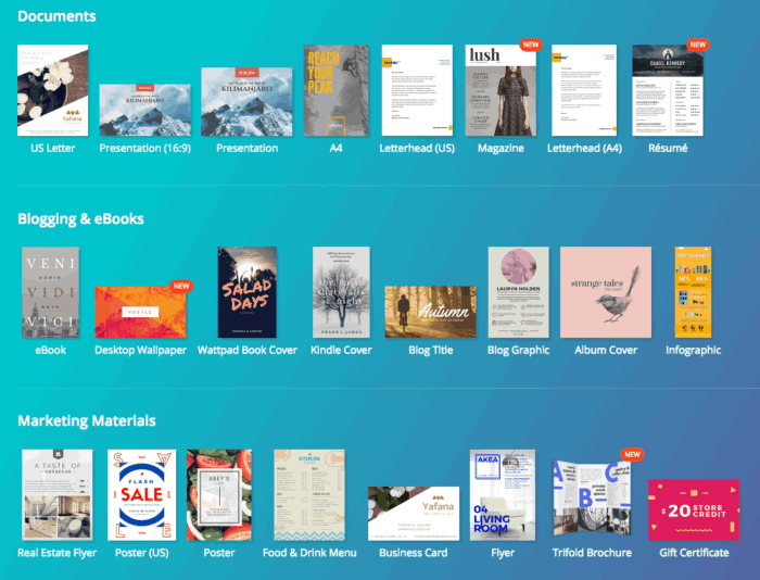 canva options