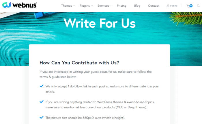 Write For Us Page Example