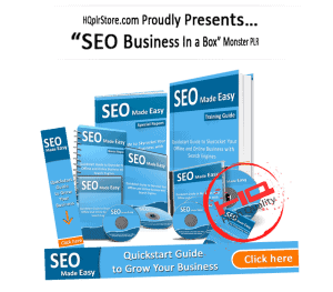 SEO made easy PLR package