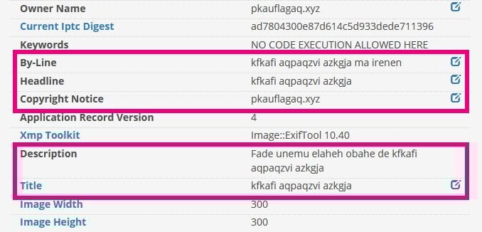 viewing image exif data