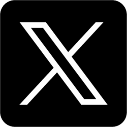 x logo