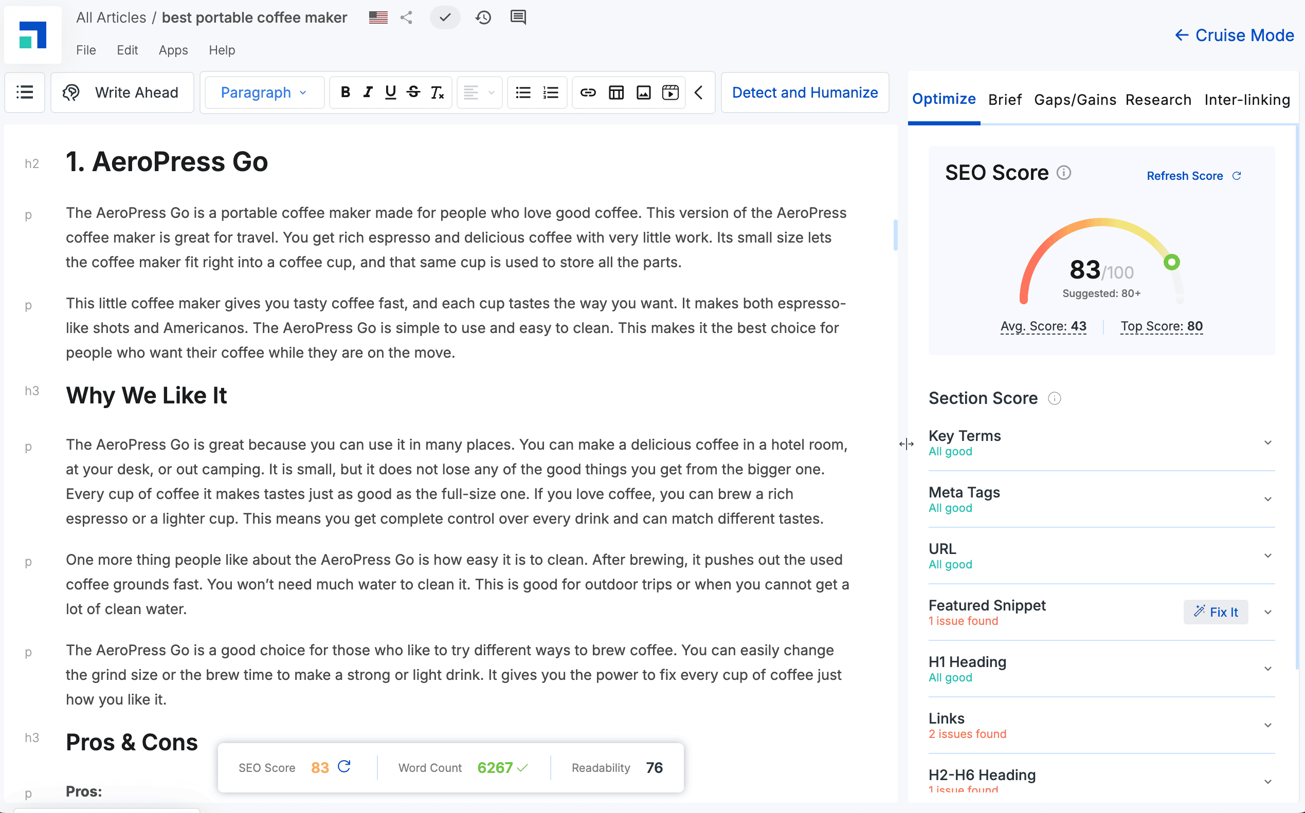 6000 word article test