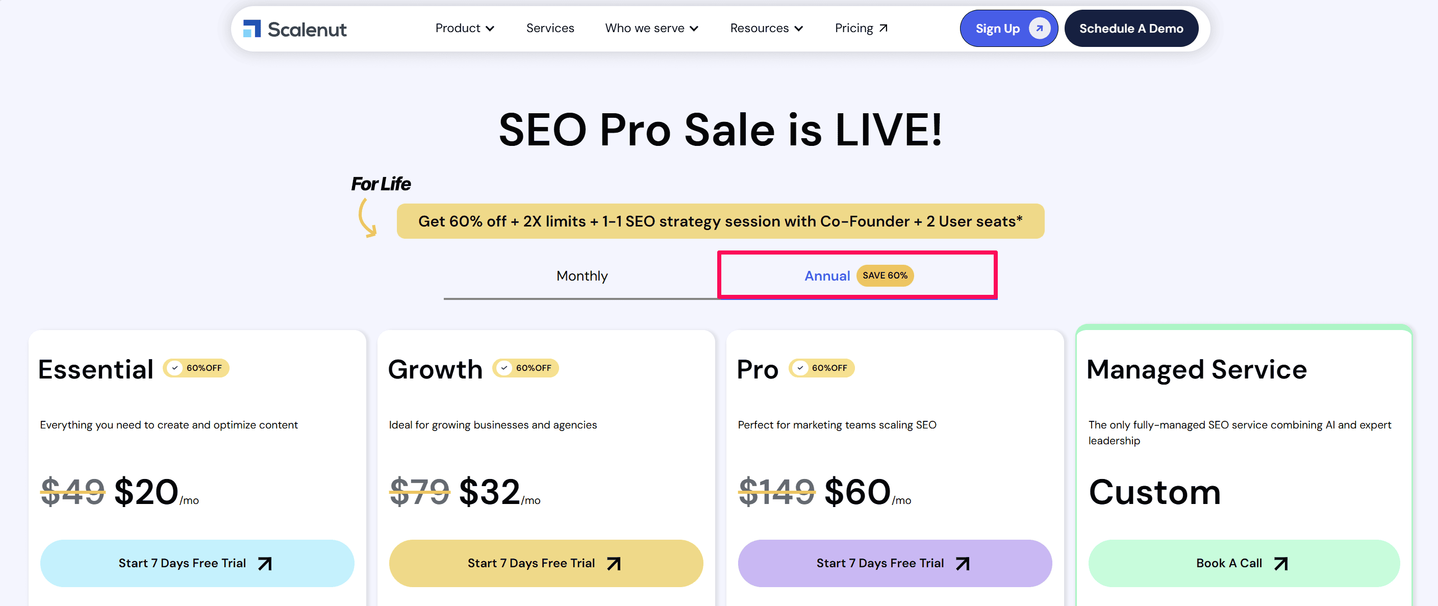 scalenut annual pricing